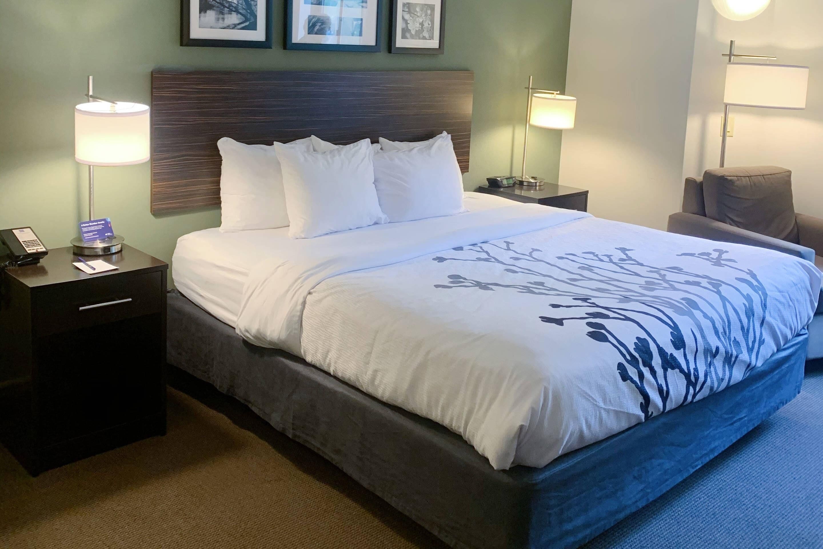 Standard Room, 1 King Bed, Non Smoking | Desk, blackout drapes, iron/ironing board, free cribs/infant beds