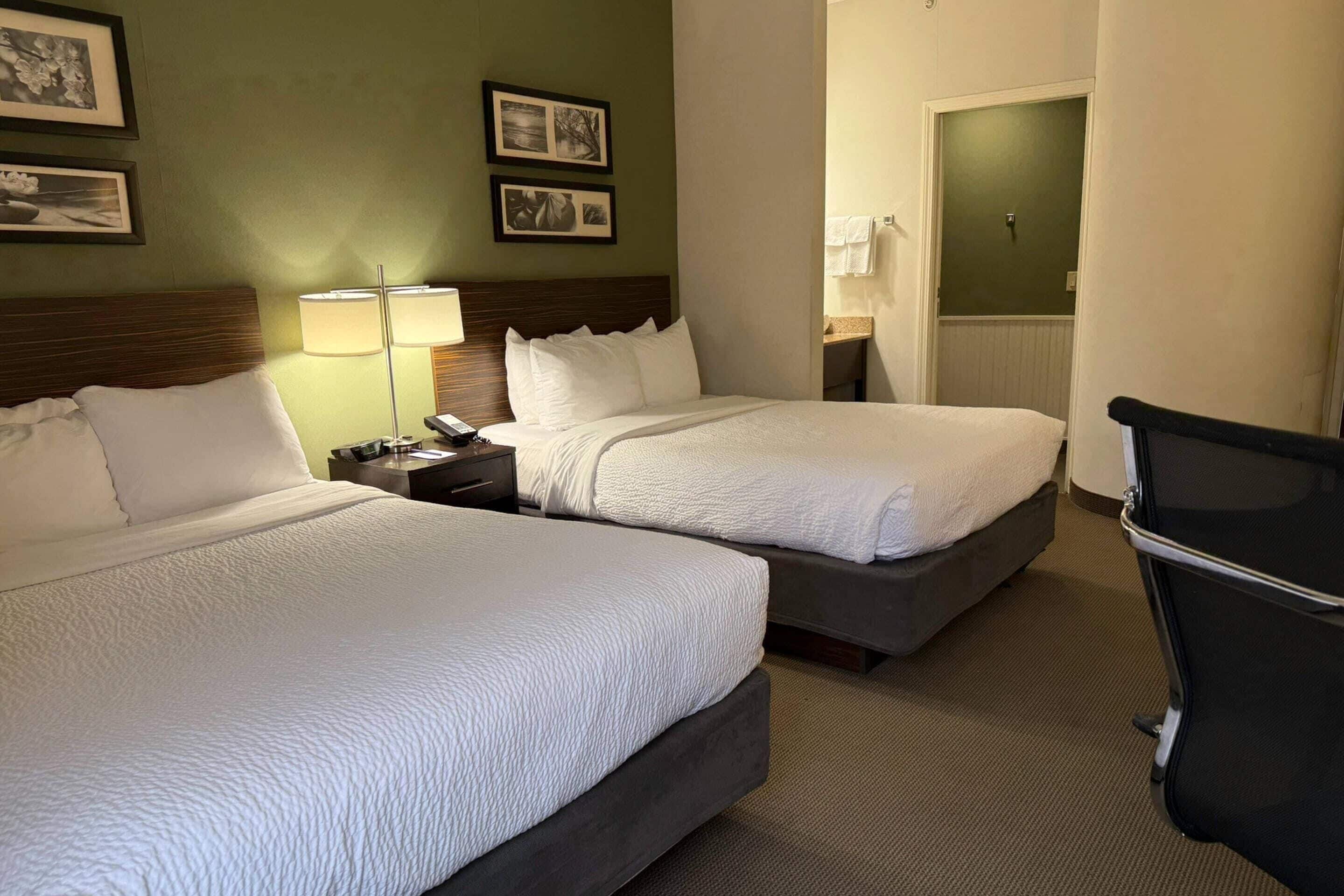 A hotel room with two beds, a nightstand with a lamp, and a trash bin.