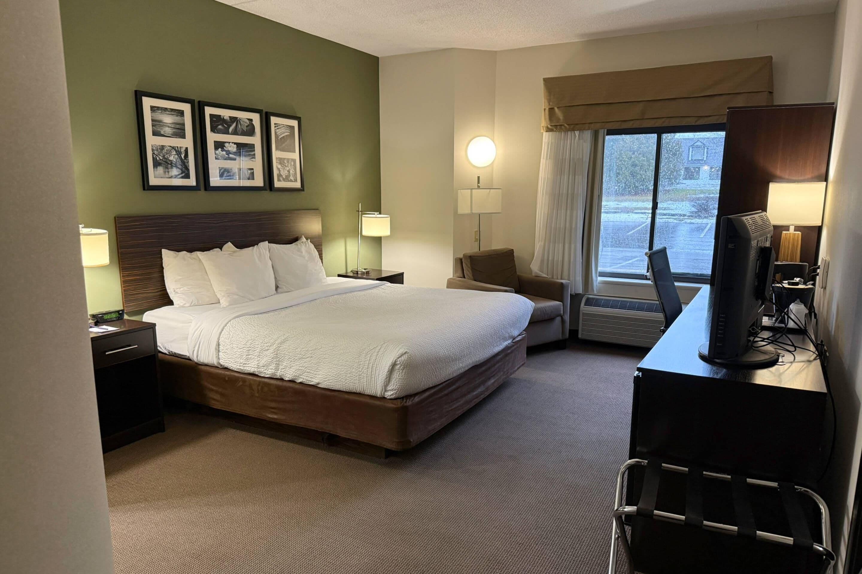 Standard Room, 1 King Bed, Non Smoking | Desk, blackout drapes, iron/ironing board, free cribs/infant beds