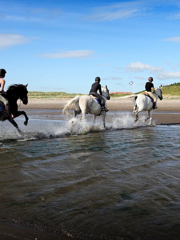 Horse riding
