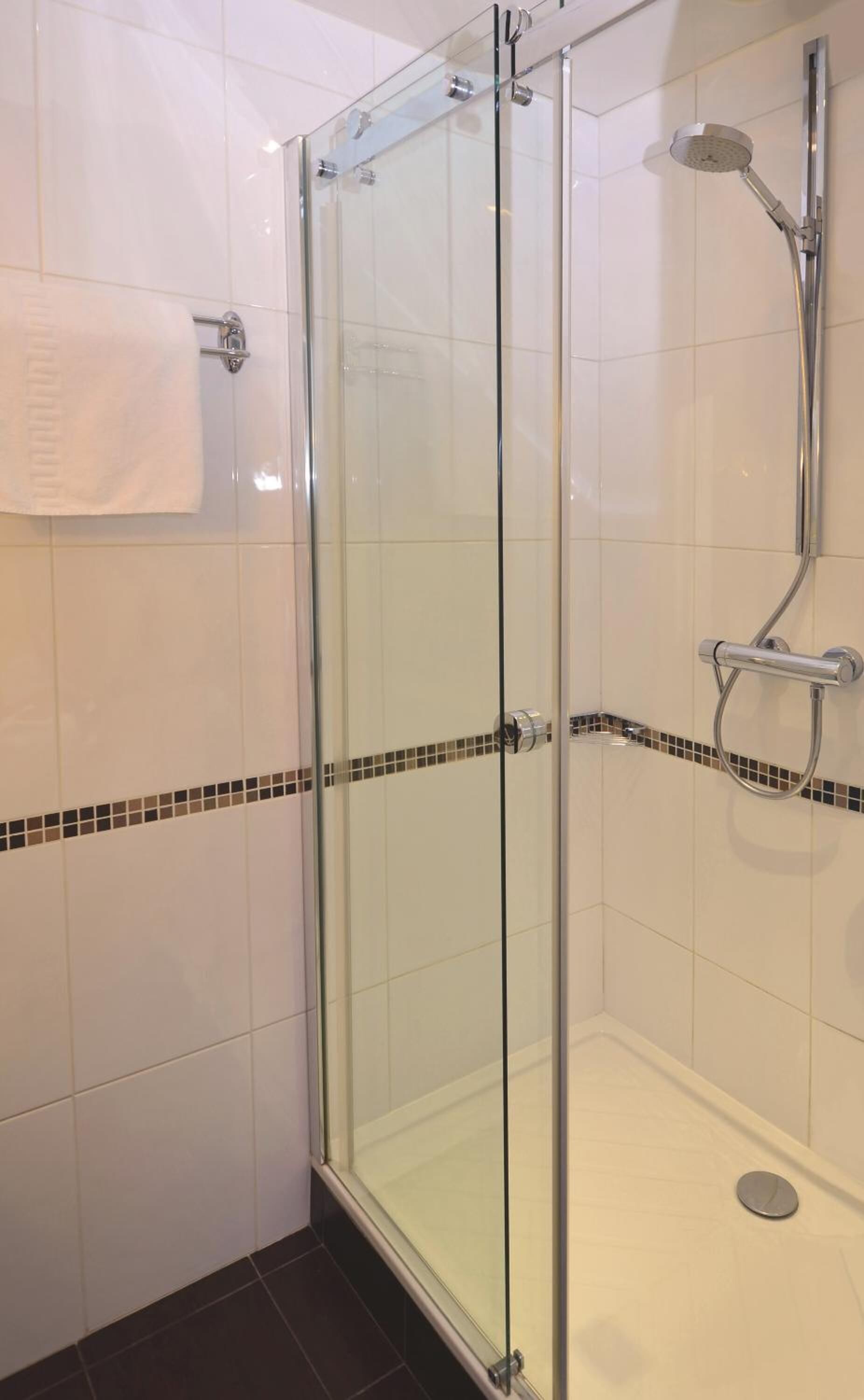 combined shower/bathtub, free toiletries, hair dryer, towels
