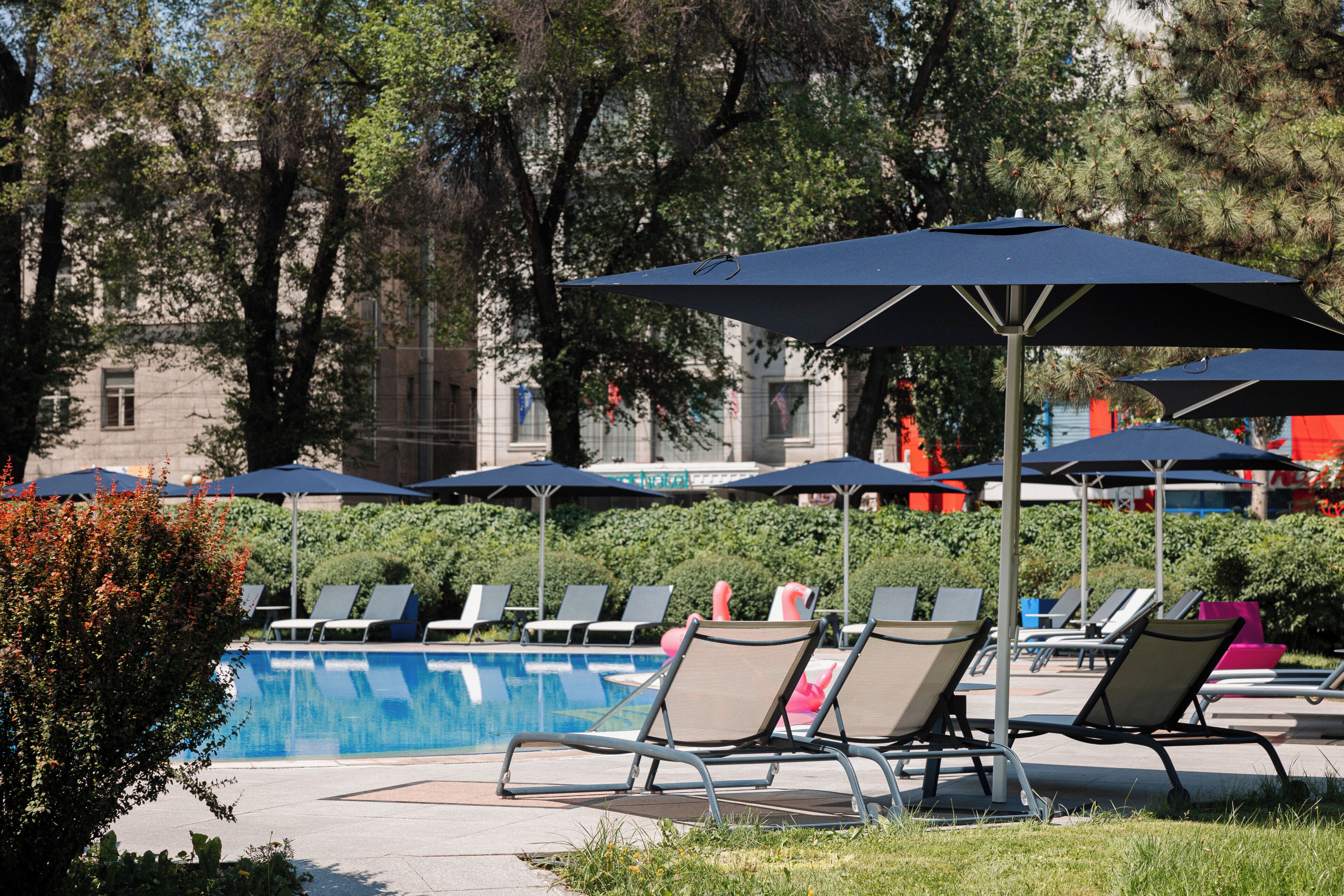 Utomhuspool och solstolar