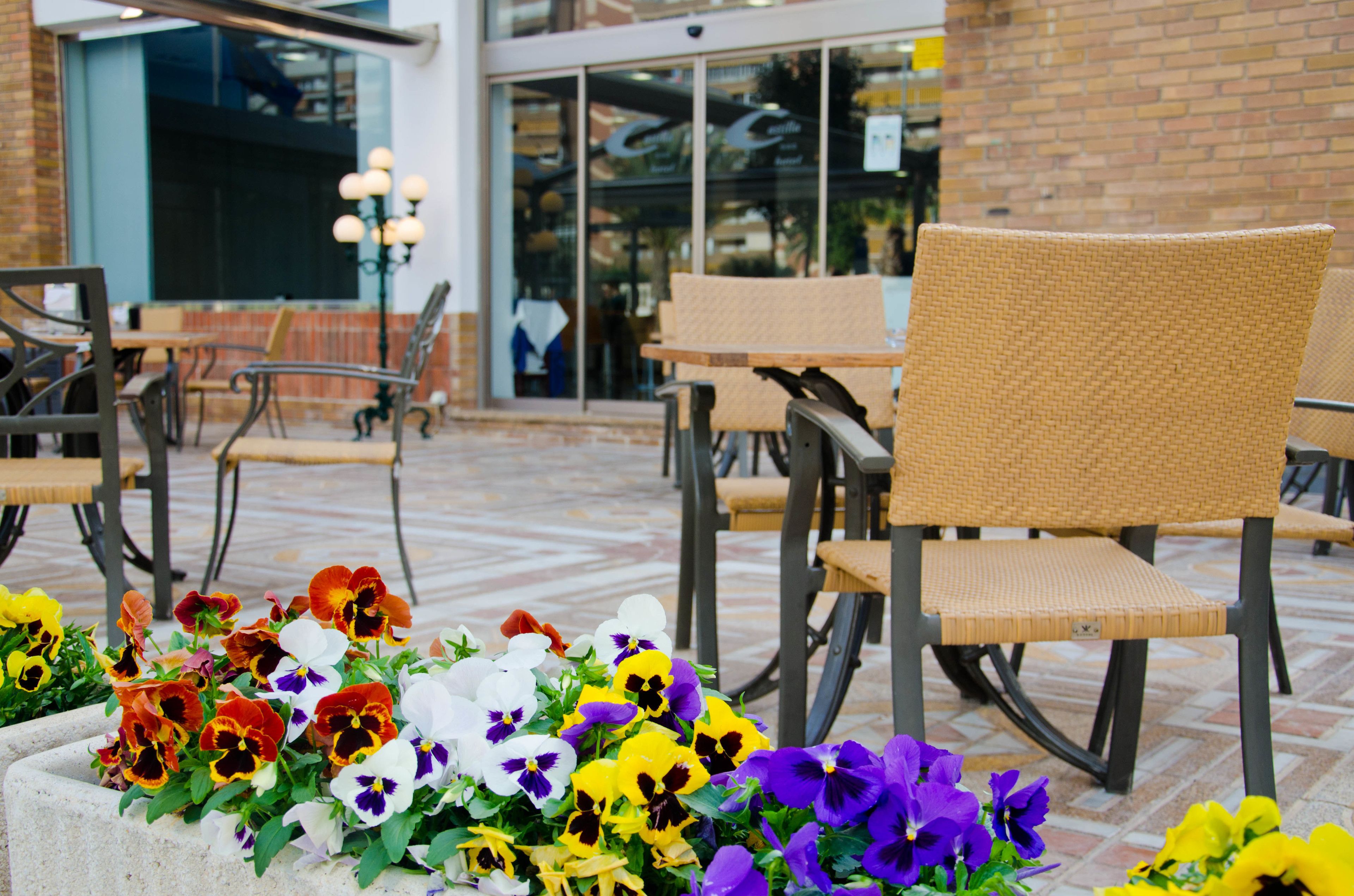 Photo - Hotel Castilla Alicante