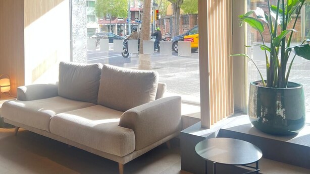 A modern hotel room with a sofa, a small table, a potted plant, and a large window offering a view of the street. - HOTEL SANT PAU (Barcelona)