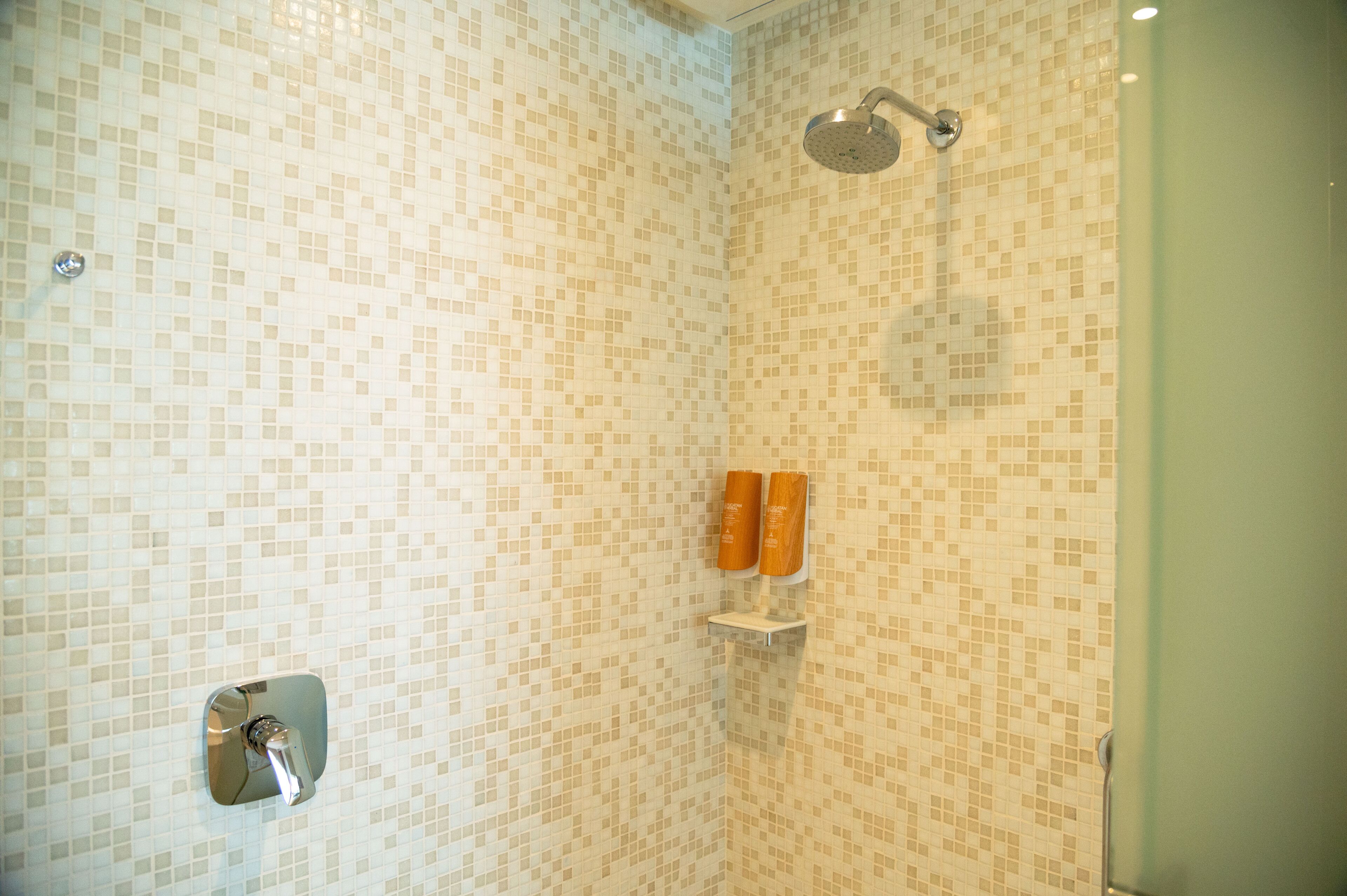 A shower with a tiled wall, a handheld showerhead, and two bottles on a shelf.