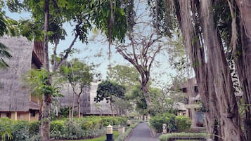 Vista desde la habitación