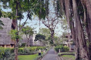 Quang cảnh từ phòng