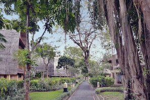 Vista des de l'habitació