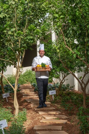 Un chef lleva una bandeja con vegetales frescos en un jardín, con plantas identificadas.