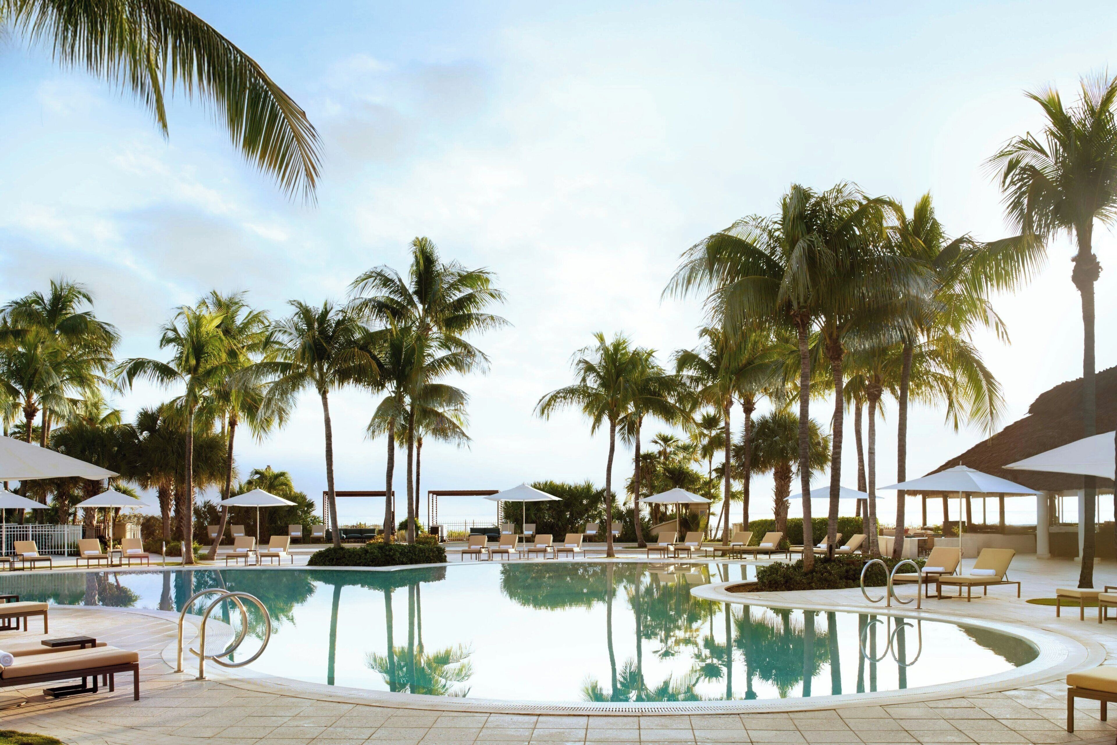 A swimming pool surrounded by palm trees and lounge chairs, with umbrellas providing shade.