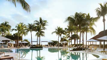 A swimming pool surrounded by palm trees and lounge chairs, with umbrellas providing shade.