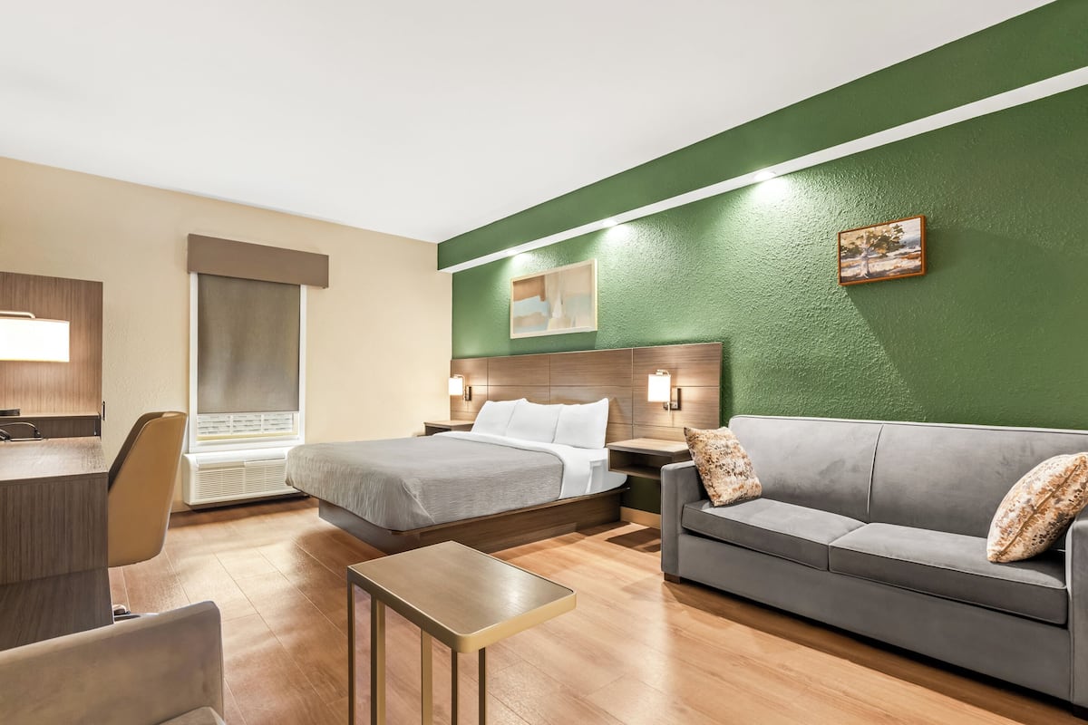 A hotel room with a bed, a sofa, a desk, and a chair.