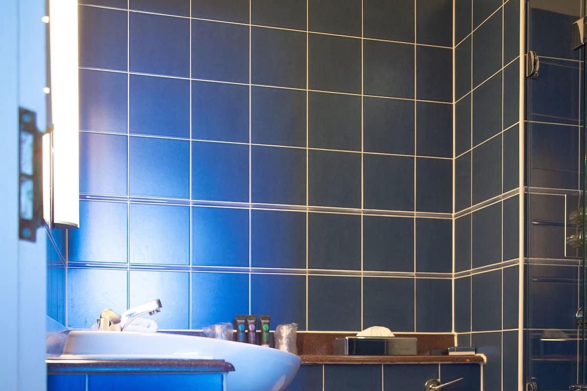 Standardzimmer, 1 Queen-Bett und Schlafsofa | Badezimmer | Duschwanne, umweltfreundliche Kosmetikartikel, Haartrockner, Handtücher