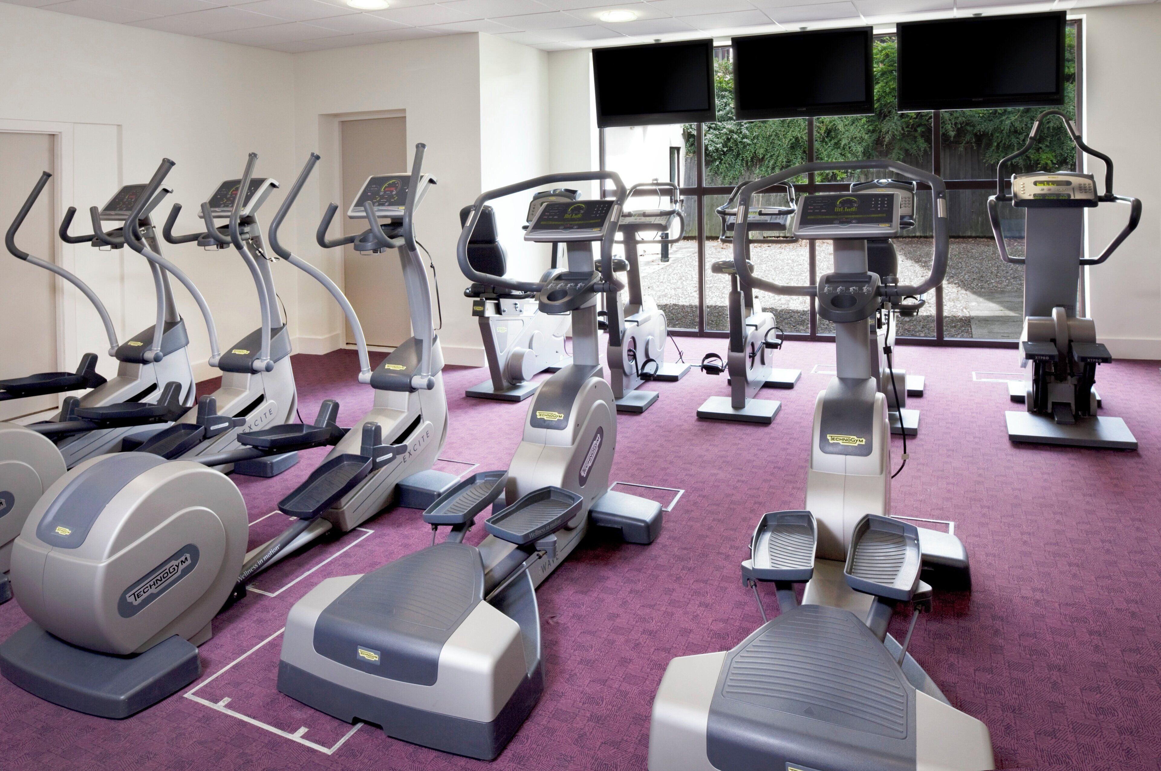 A gym with various exercise machines, including treadmills and ellipticals, arranged in rows.