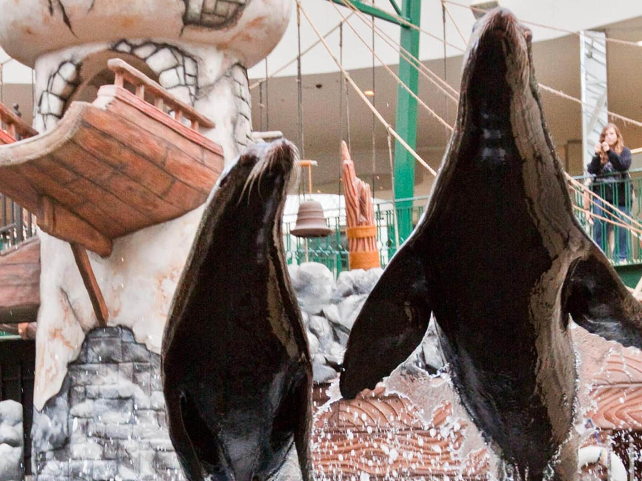 Photo - West Edmonton Mall Inn