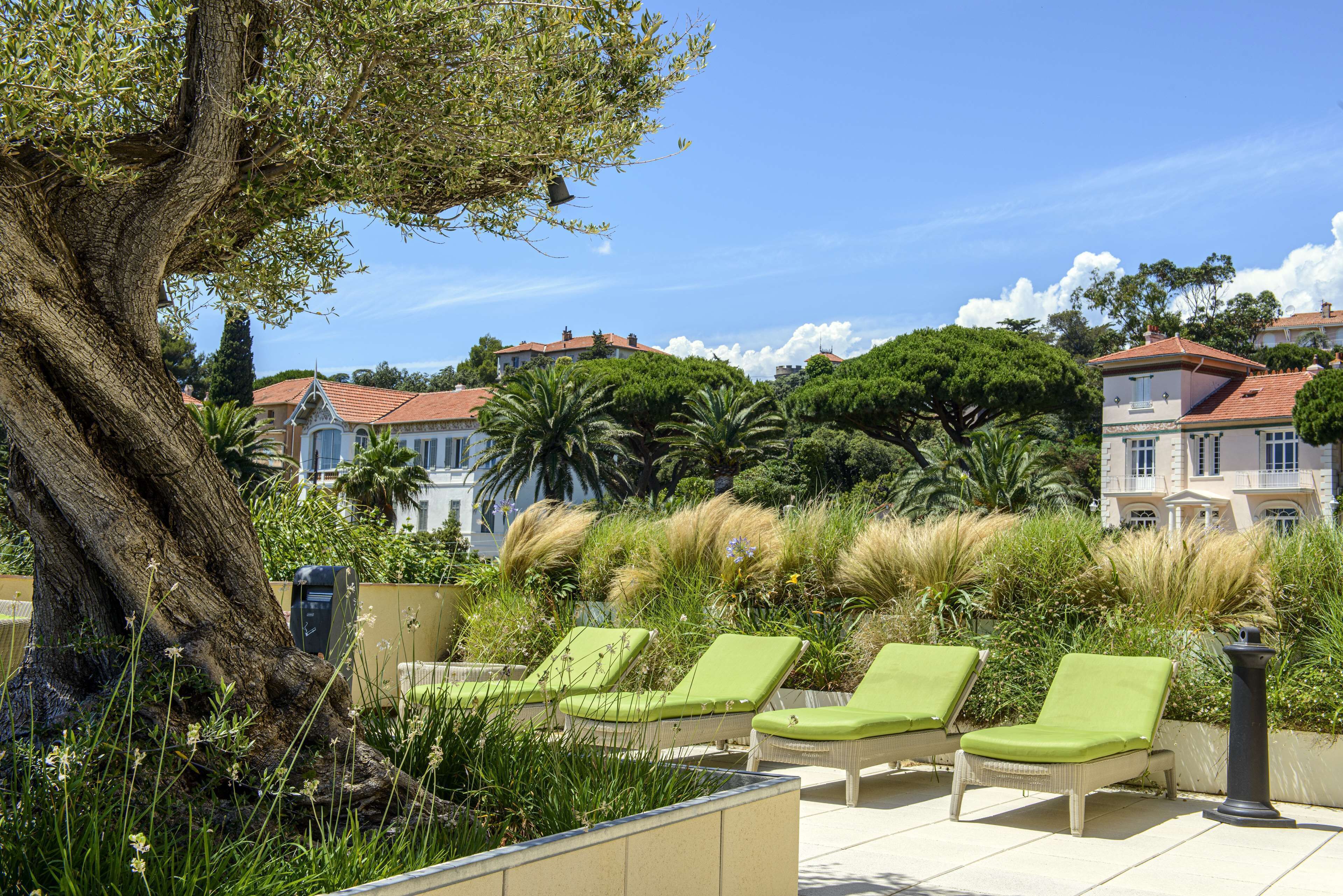 Una terraza con sillones de descanso, un árbol grande y vistas a casas al fondo.