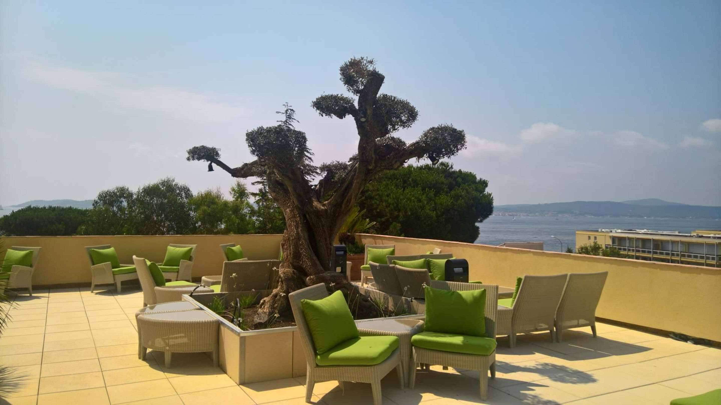 Una terrazza sul tetto con mobili in vimini e un grande albero.