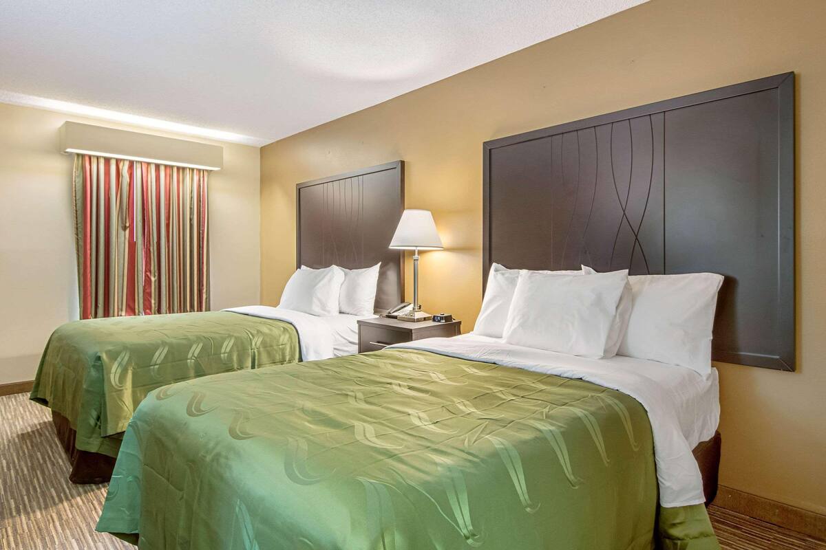 A hotel room with two beds, a nightstand with a lamp, a striped curtain, and a carpeted floor.