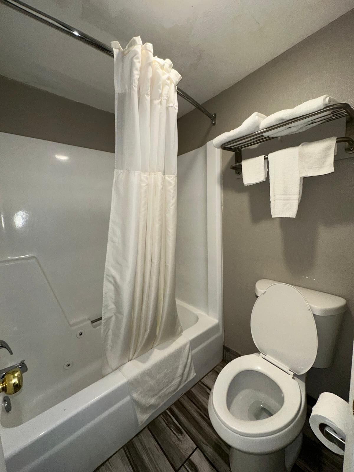 A bathroom with a bathtub, toilet, and a shower curtain.