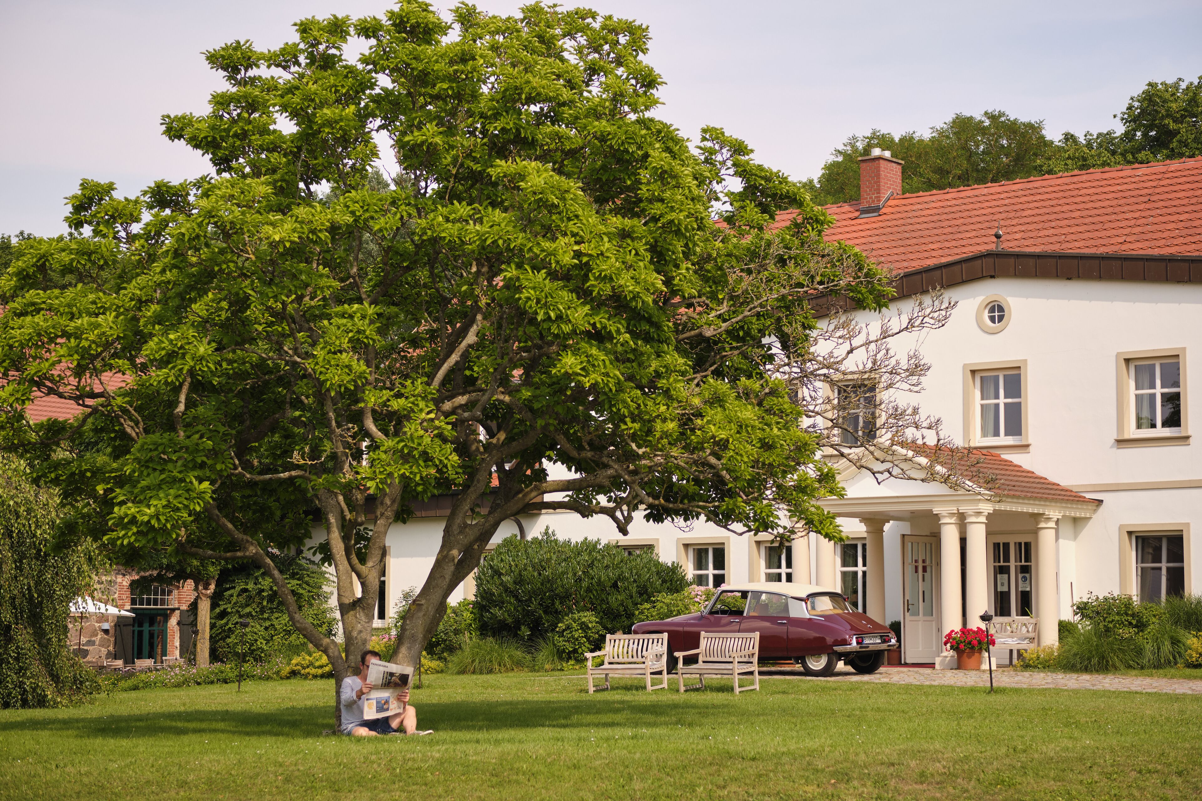 A house with a red roof, a white exterior, and a large tree in front.