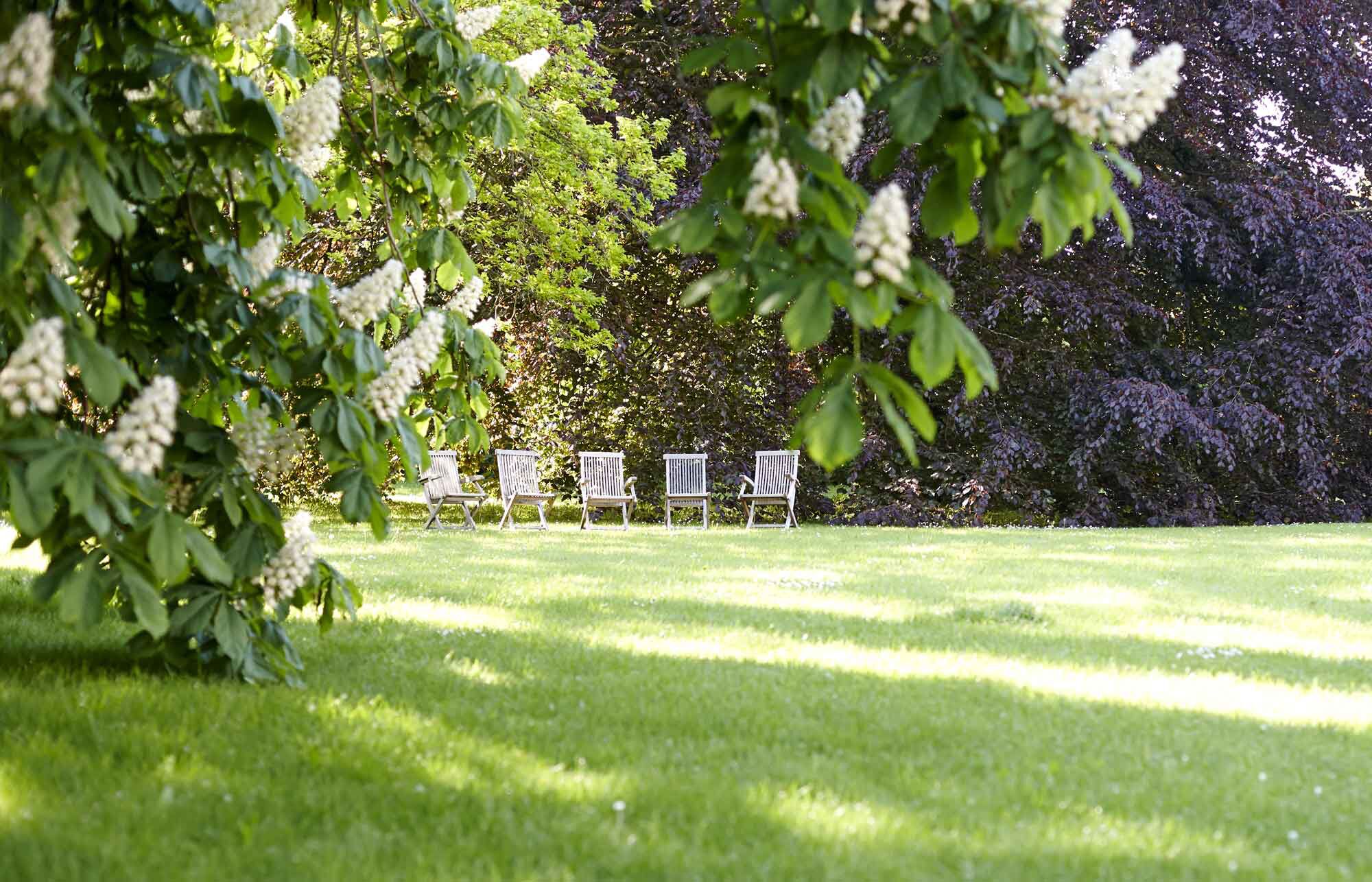 Una hilera de sillas al aire libre en un jardín con abundante vegetación y árboles al fondo.