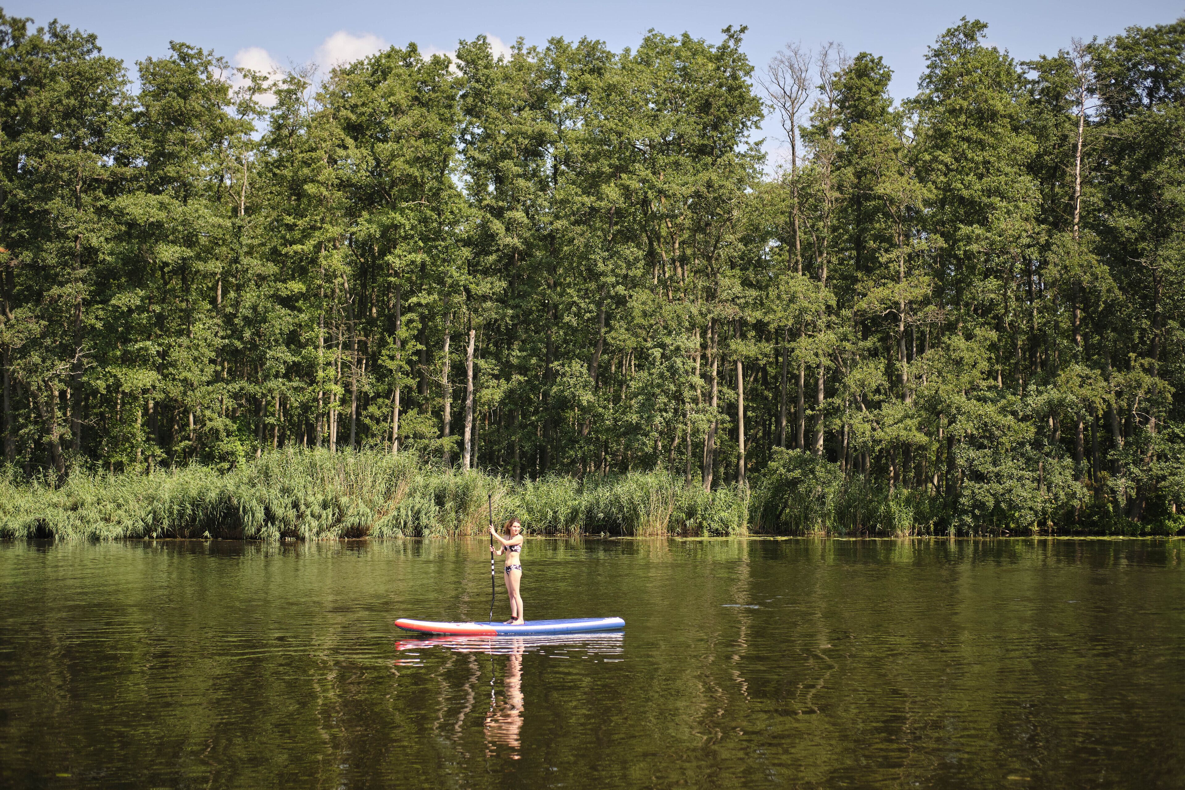 A person standing on a paddleboard in a calm body of water surrounded by dense forest.