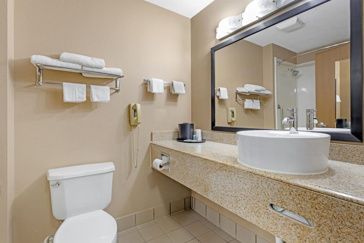 combined shower/bathtub, free toiletries, hair dryer, towels