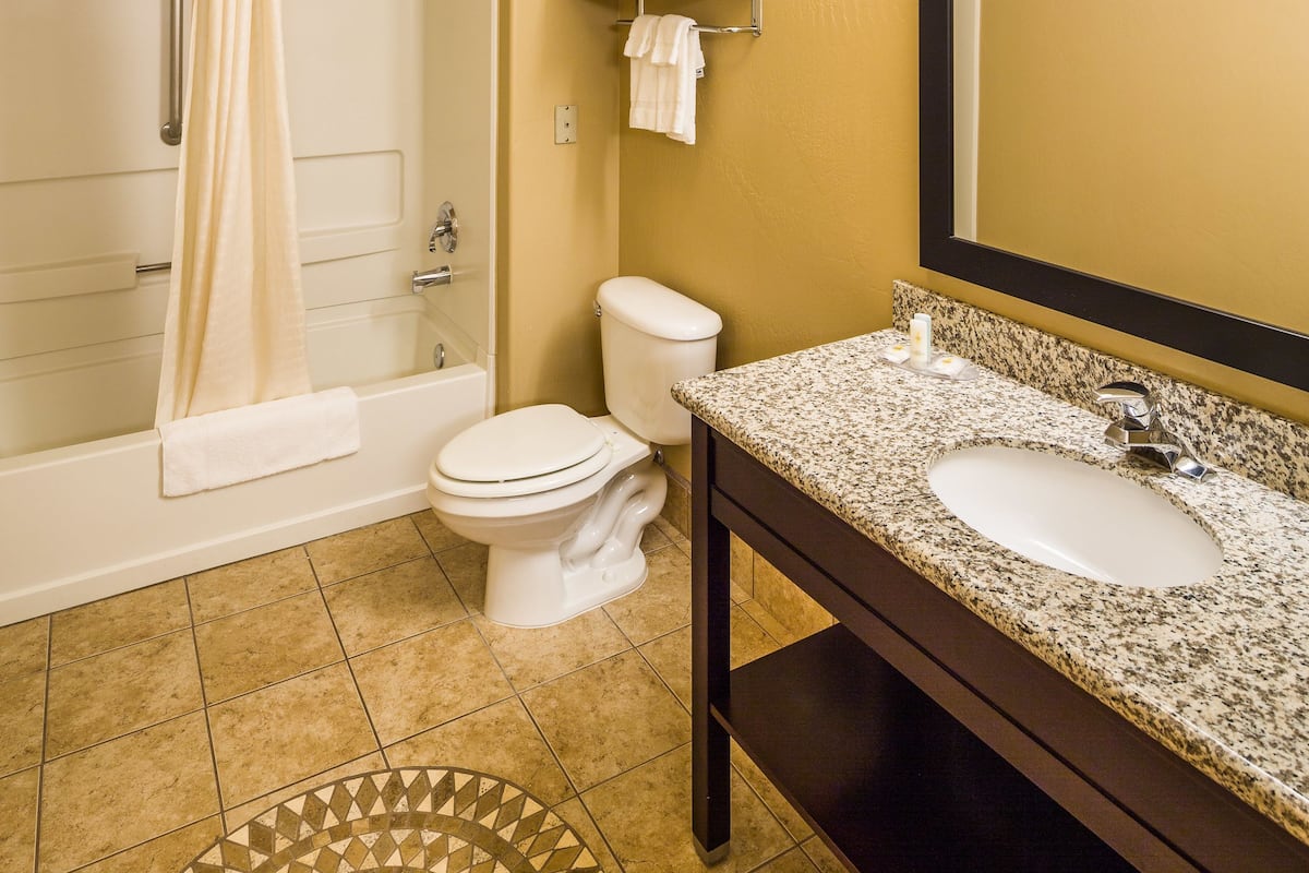 combined shower/bathtub, free toiletries, hair dryer, towels
