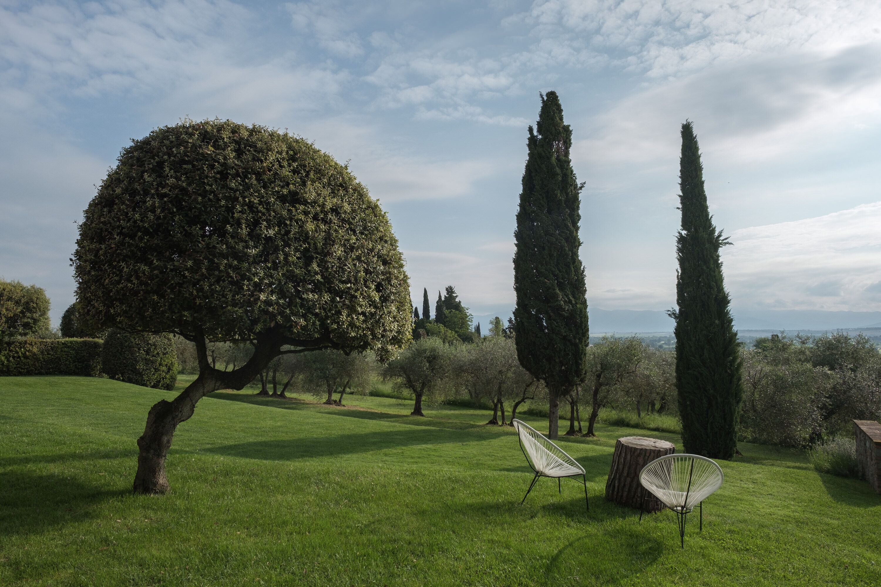 Un jardin bien entretenu, où l’on trouve une variété d’arbres, dont un grand arbre à la silhouette arrondie et de grands arbres élancés. On aperçoit deux chaises blanches au premier plan.