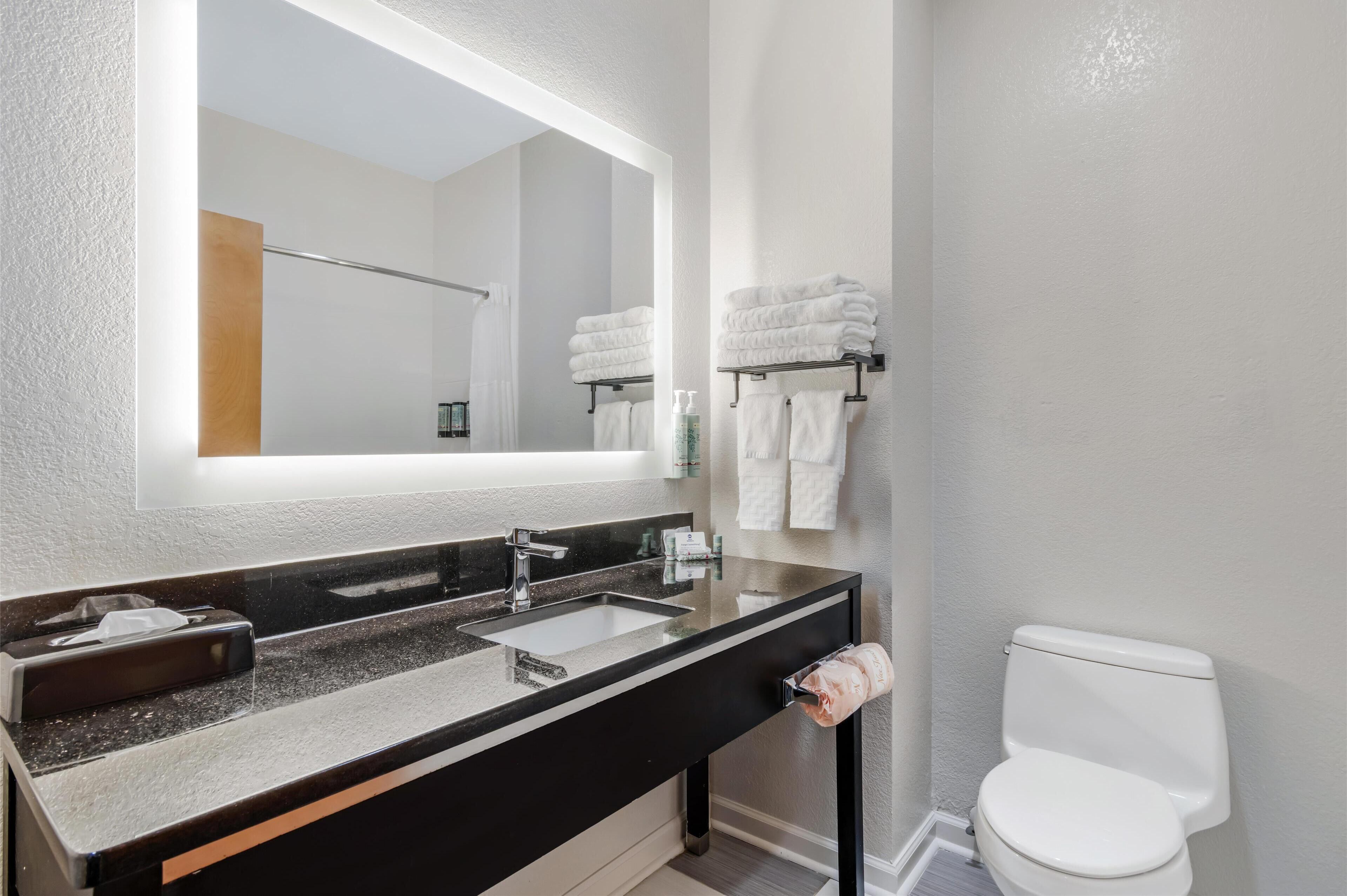 standard room, 1 king bed, non smoking, refrigerator & microwave | bathroom | free toiletries, hair dryer, towels