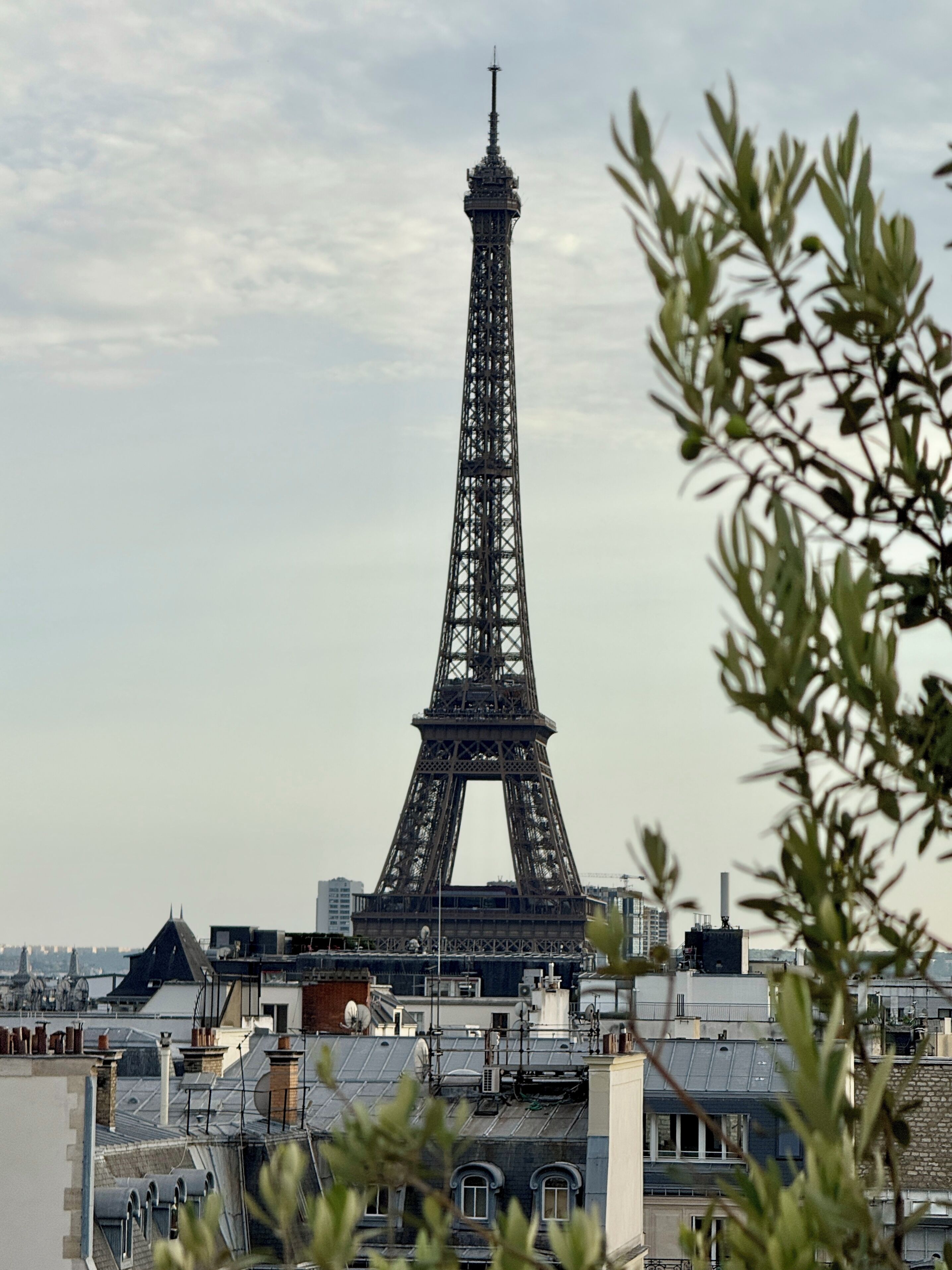suite | balcony view