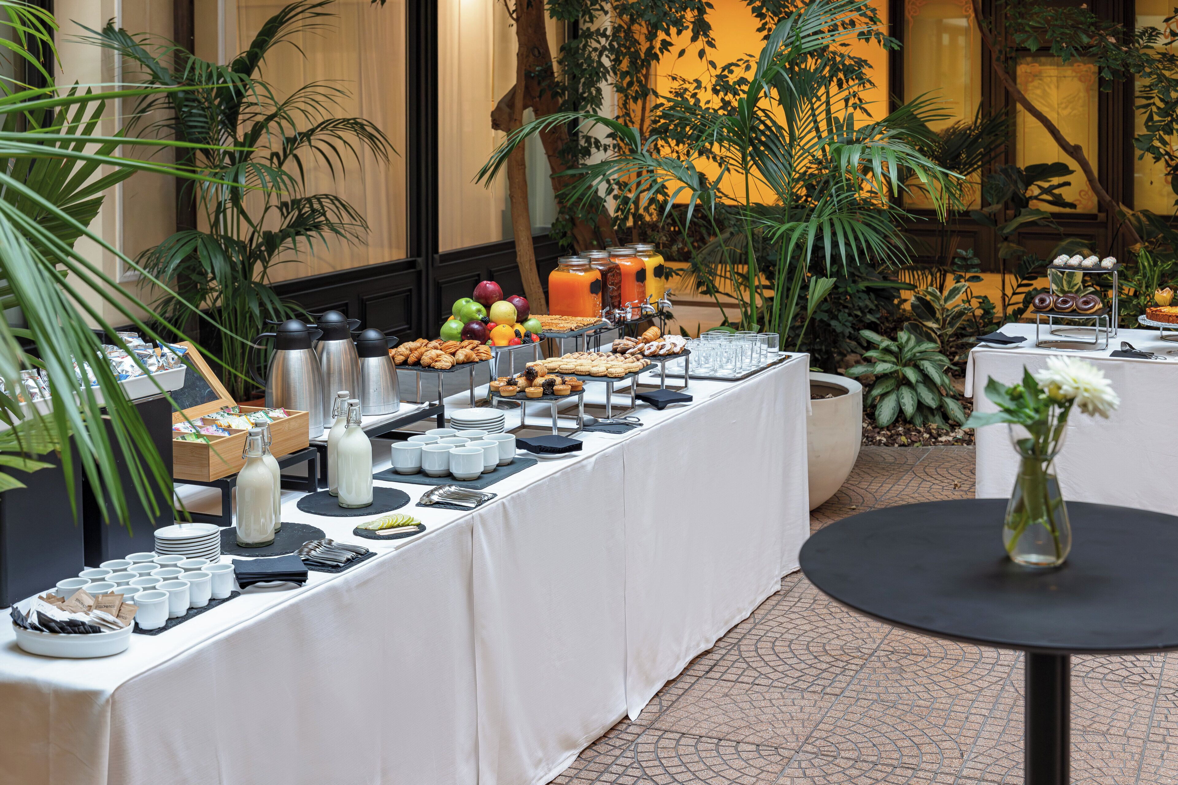 Una mesa de buffet con diversos alimentos y bebidas, rodeada de plantas en macetas.