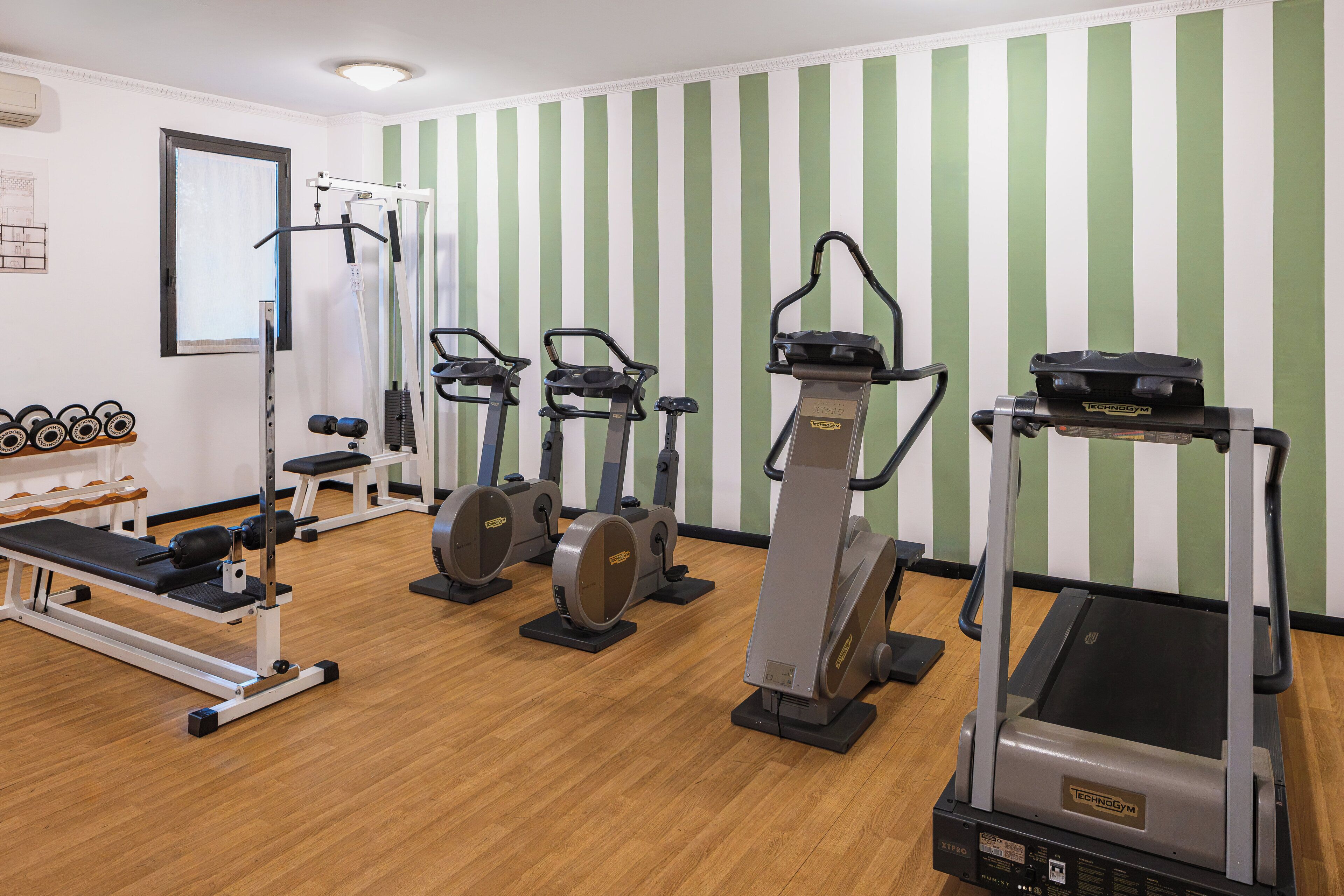 A gym with cardio machines, weight machines, and dumbbells.