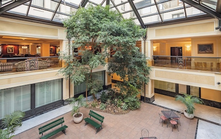 A spacious atrium with a large indoor tree, seating areas, and a high ceiling with skylights.