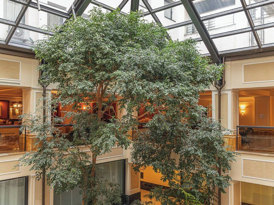 A spacious atrium with a large indoor tree, seating areas, and a high ceiling with skylights.