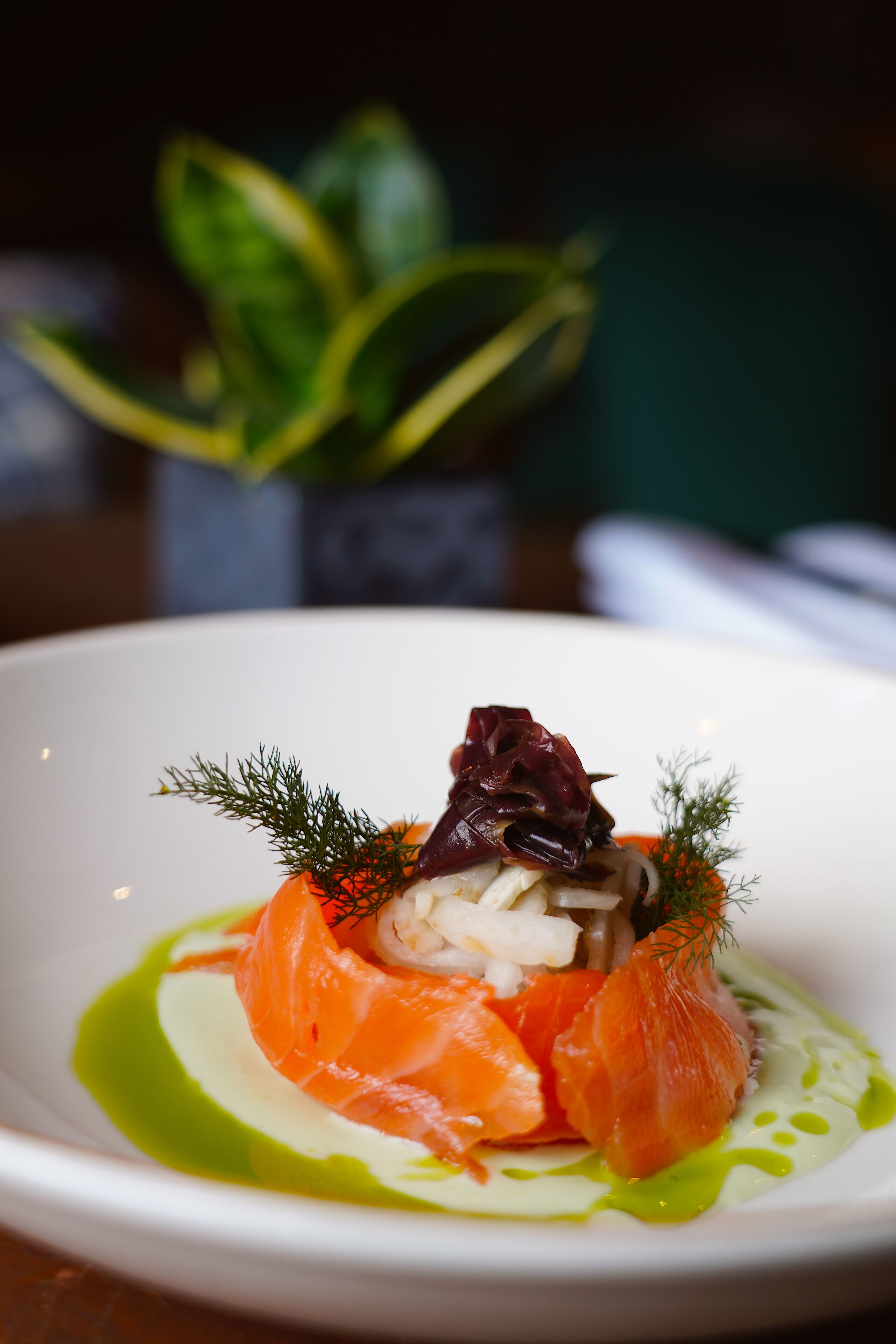 A white plate with a dish of salmon, vegetables, and a green sauce.