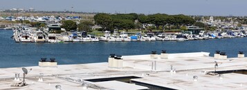 Vista del balcón
