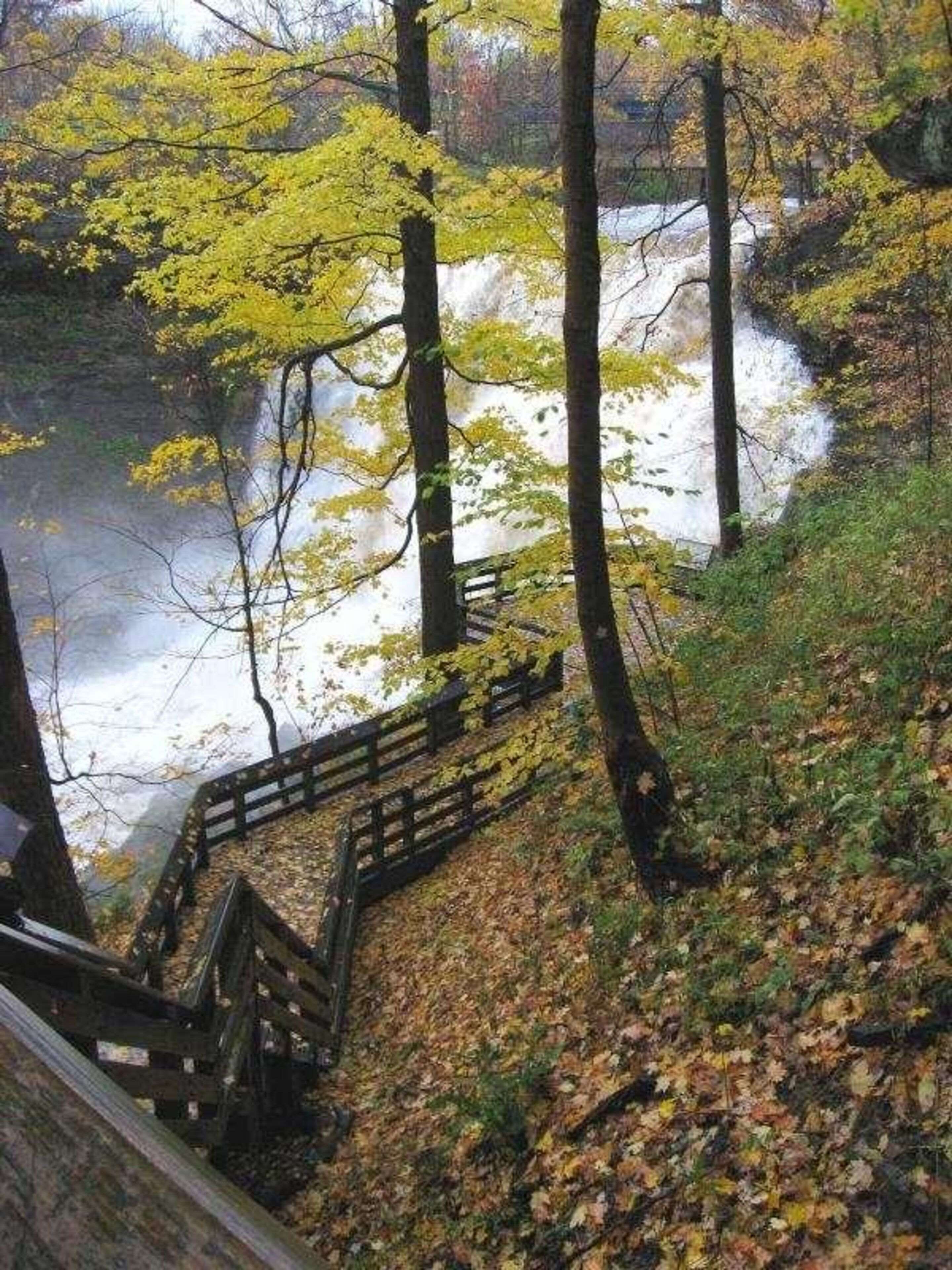A wooden staircase leading down to a river surrounded by trees with yellow leaves.