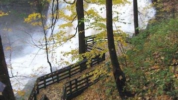 A wooden staircase leading down to a river surrounded by trees with yellow leaves.