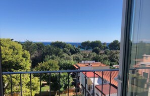Double or Twin Room, Balcony, Pool View