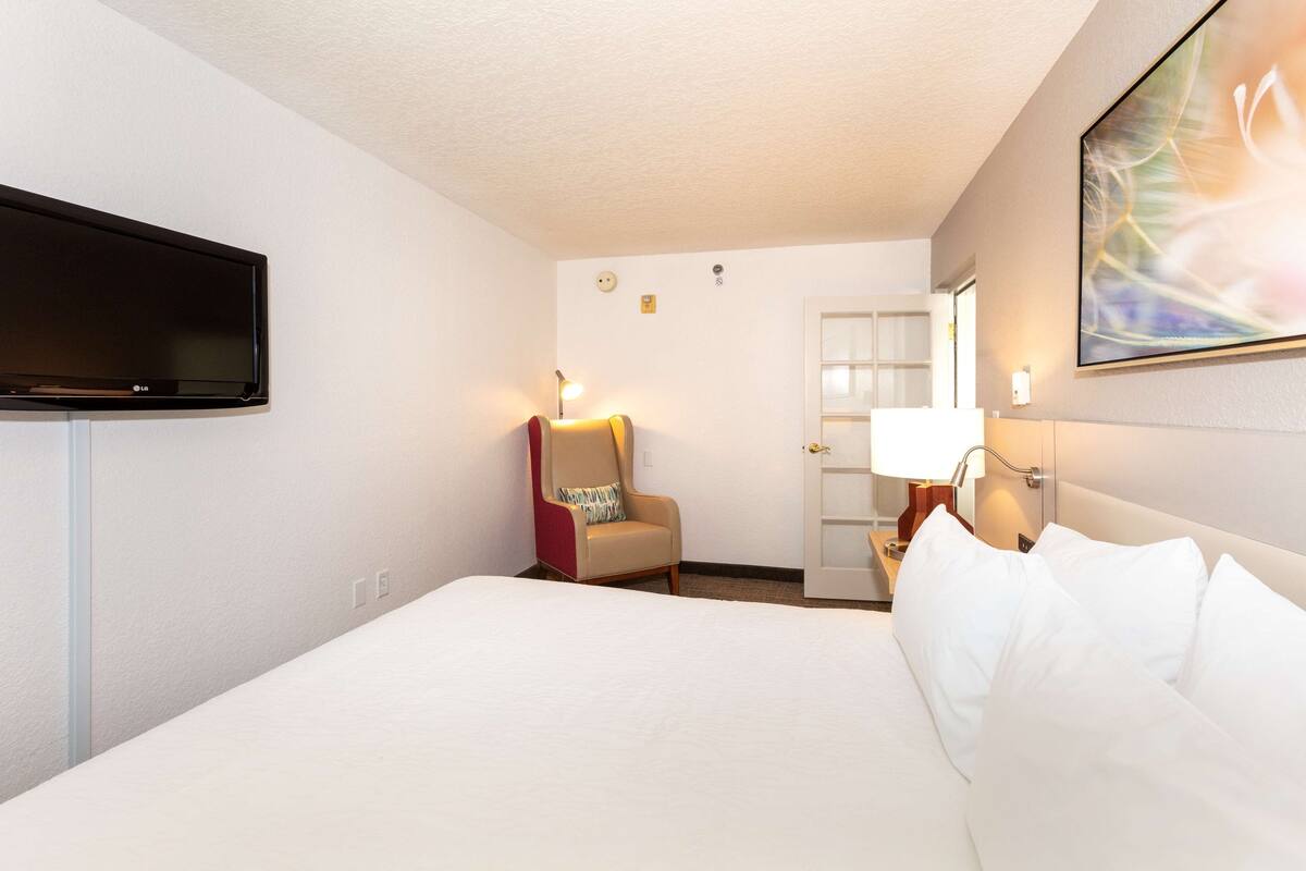 A hotel room with a bed, a television mounted on the wall, a chair, and a door.