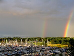 Vista desde la propiedad