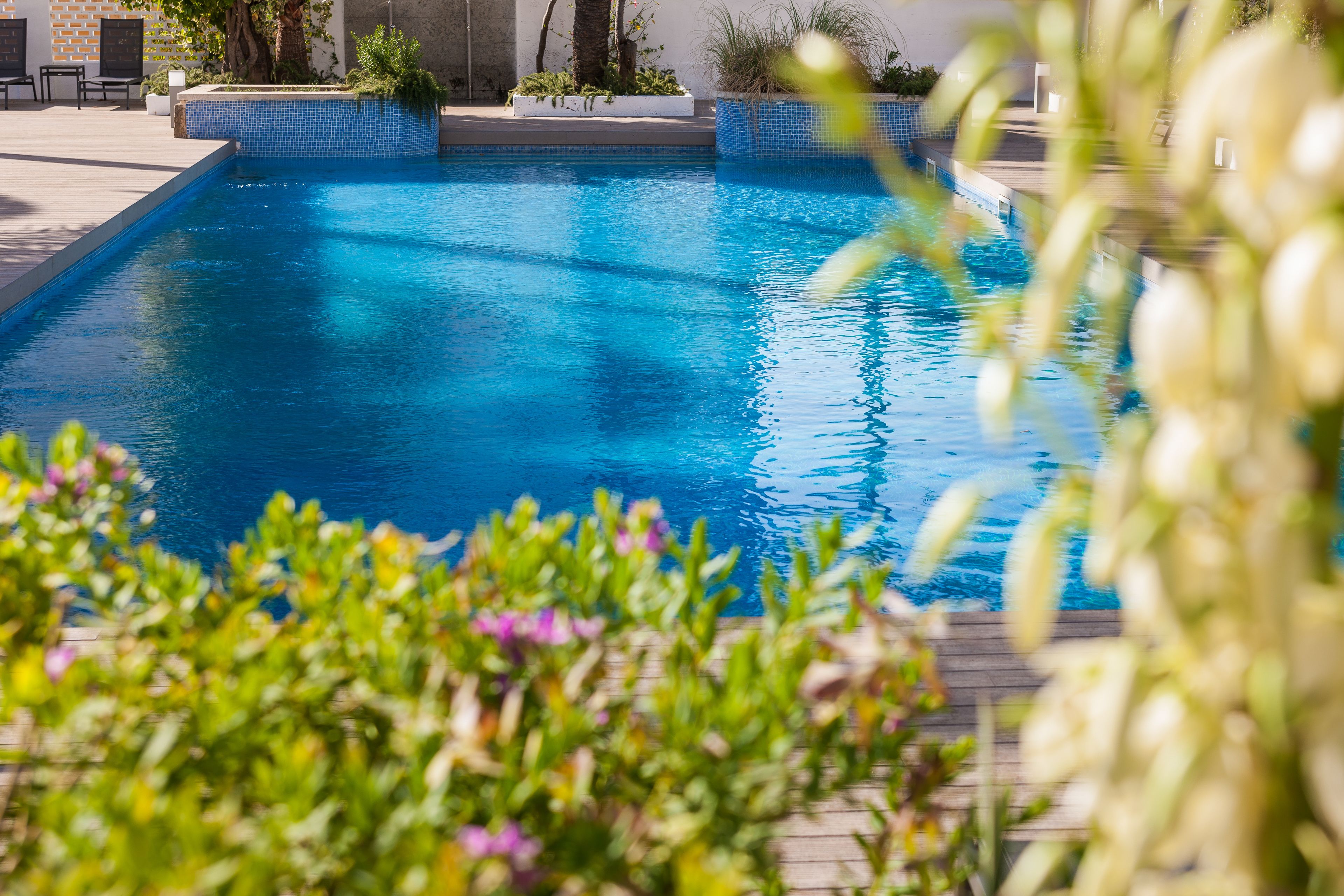Una piscina azul cristalina con borde de azulejos, rodeada de plantas en macetas y una terraza de madera.