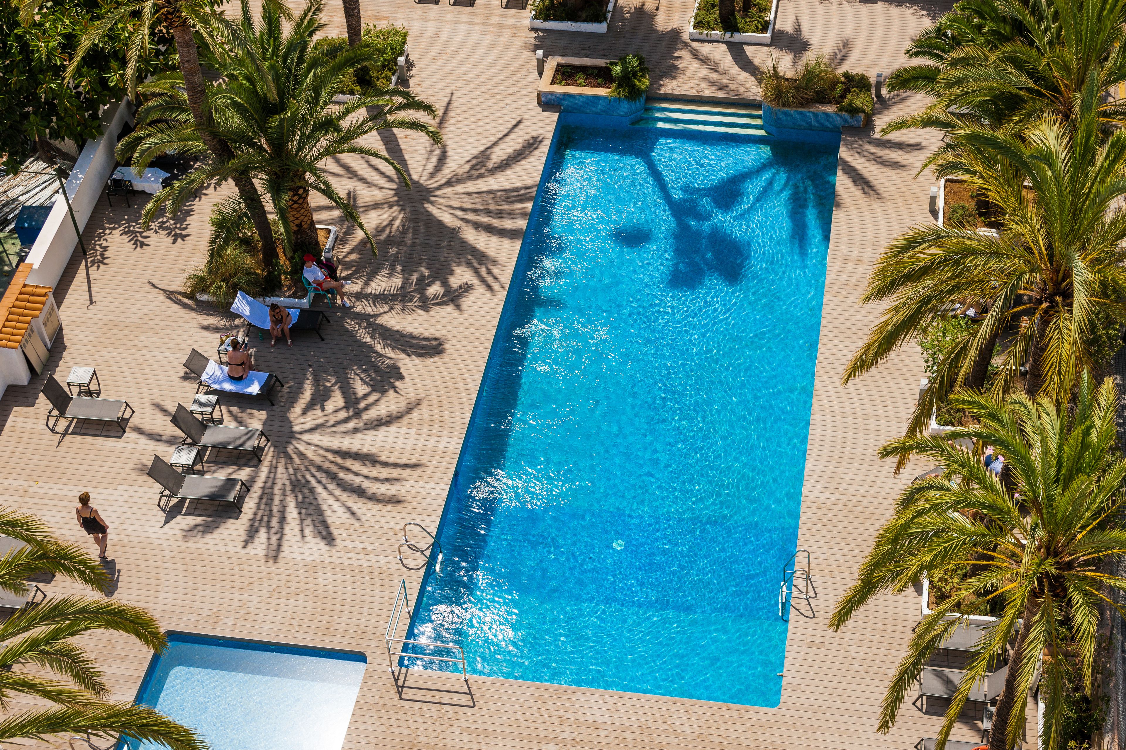 A rectangular pool with a wooden deck surrounding it, palm trees, and lounge chairs.