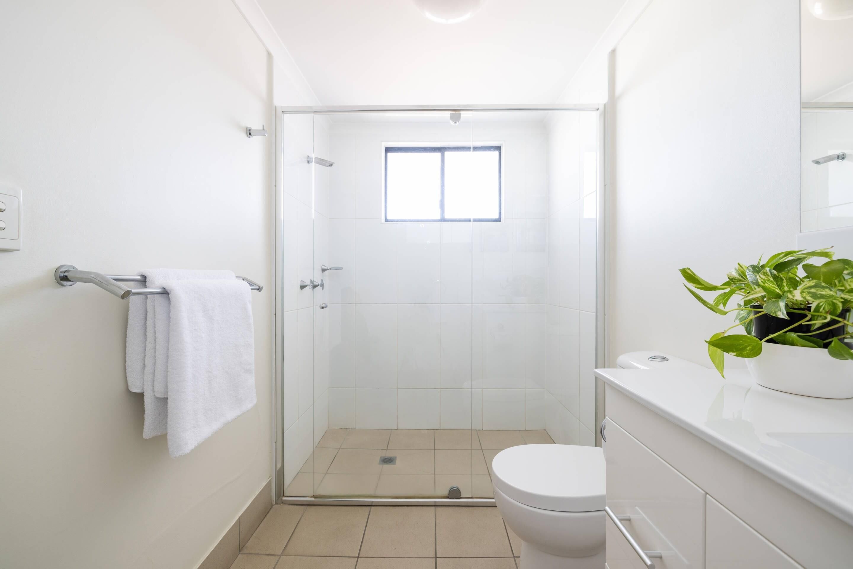 A modern bathroom with a glass shower enclosure, a white toilet, and a sink with a potted plant.