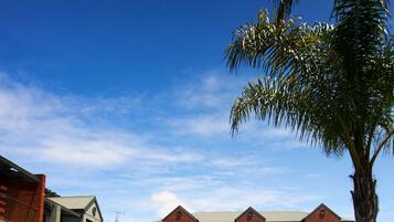 Una piscina al aire libre, sillones reclinables de piscina