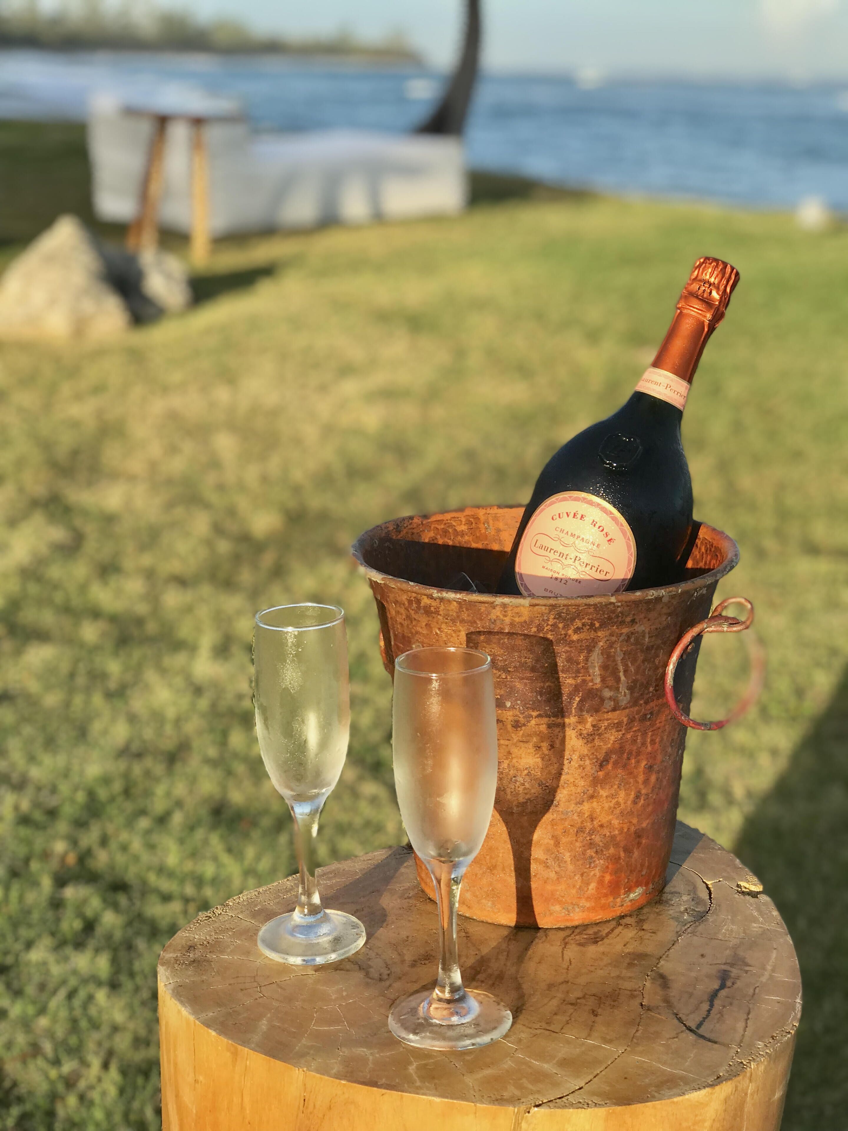 Eine Champagnerflasche in einem verrosteten Eimer mit zwei Gläsern auf einem hölzernen Baumstumpf.