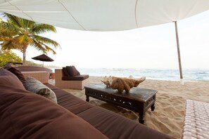 Trên bãi biển, lều miễn phí, ghế dài tắm nắng, dù trên bãi biển 