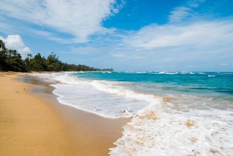 Villa Montana Beach Resort - Image 58