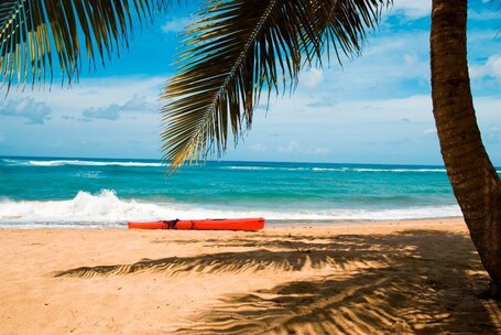 Villa Montana Beach Resort - Image 51